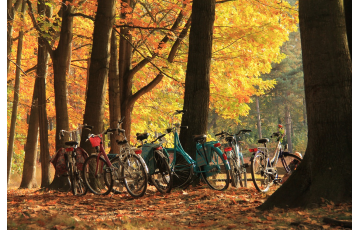 Gyönyörködj velünk az ősz színeiben, két keréken, az Által-ér kerékpárúton!