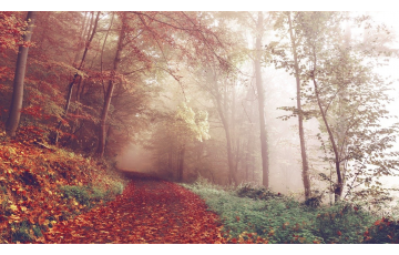 Gyalogtúra a Rám-szakadékhoz