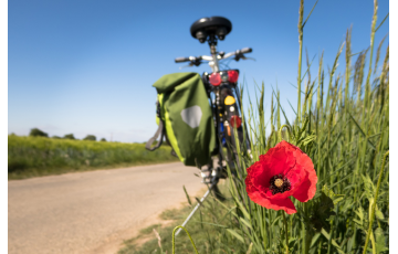 Által-ér kerékpártúra