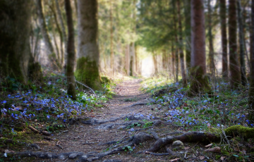 Túra a Spartacus-ösvényen