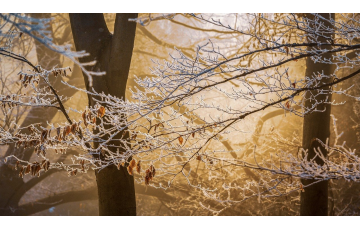 Mikulásváró gyalogtúra